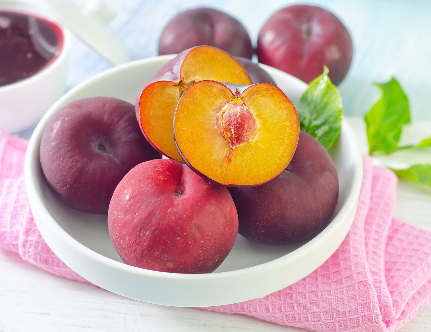 Tristar Plants - Methley Plum Tree - Heavy yielding - Sweet Fruit - Live Plant - 1 Gallon Trade Pot