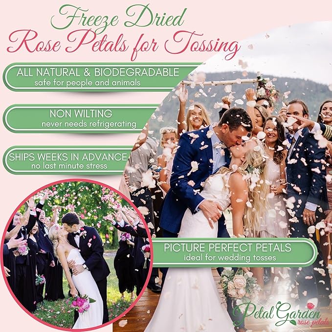 Rose Petals for Wedding Decoration, Bridal Toss, and Aisles, 10 cups, Freeze Dried, Use within 1 month (Seashell)