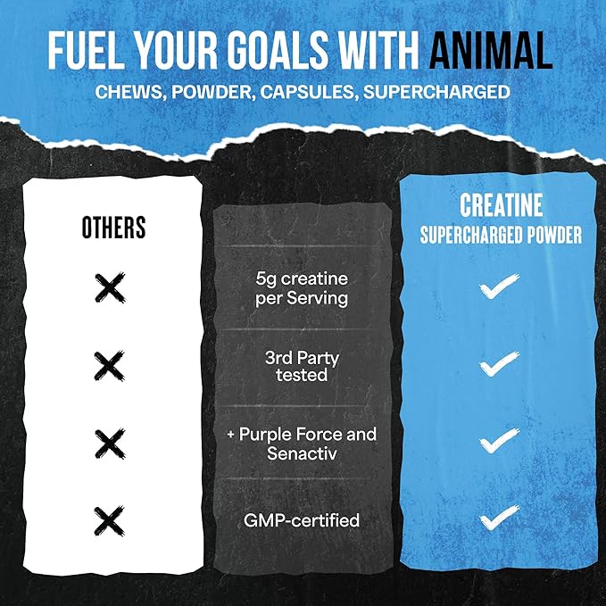 Animal Supercharged Creatine Powder - Flavored Creatine Monohydrate Enhanced with Betaine Anhydrous, PurpleForce & Senactiv, Strength, Endurance, Muscle Recovery for Men and Women – Fruit Punch, 300g