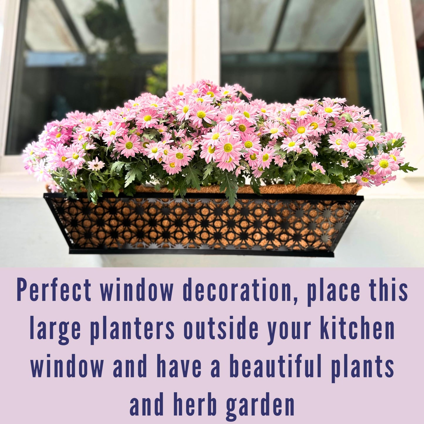 LaLaGreen Bundle - 6 Pack, 24 Inch Black Metal Rectangular Flower Pot Wall Planters with Coco Liner, Window Box Planter for Outdoor Plants, Modern Stylish Horse Trough Railing Balcony Patio Fence Deck