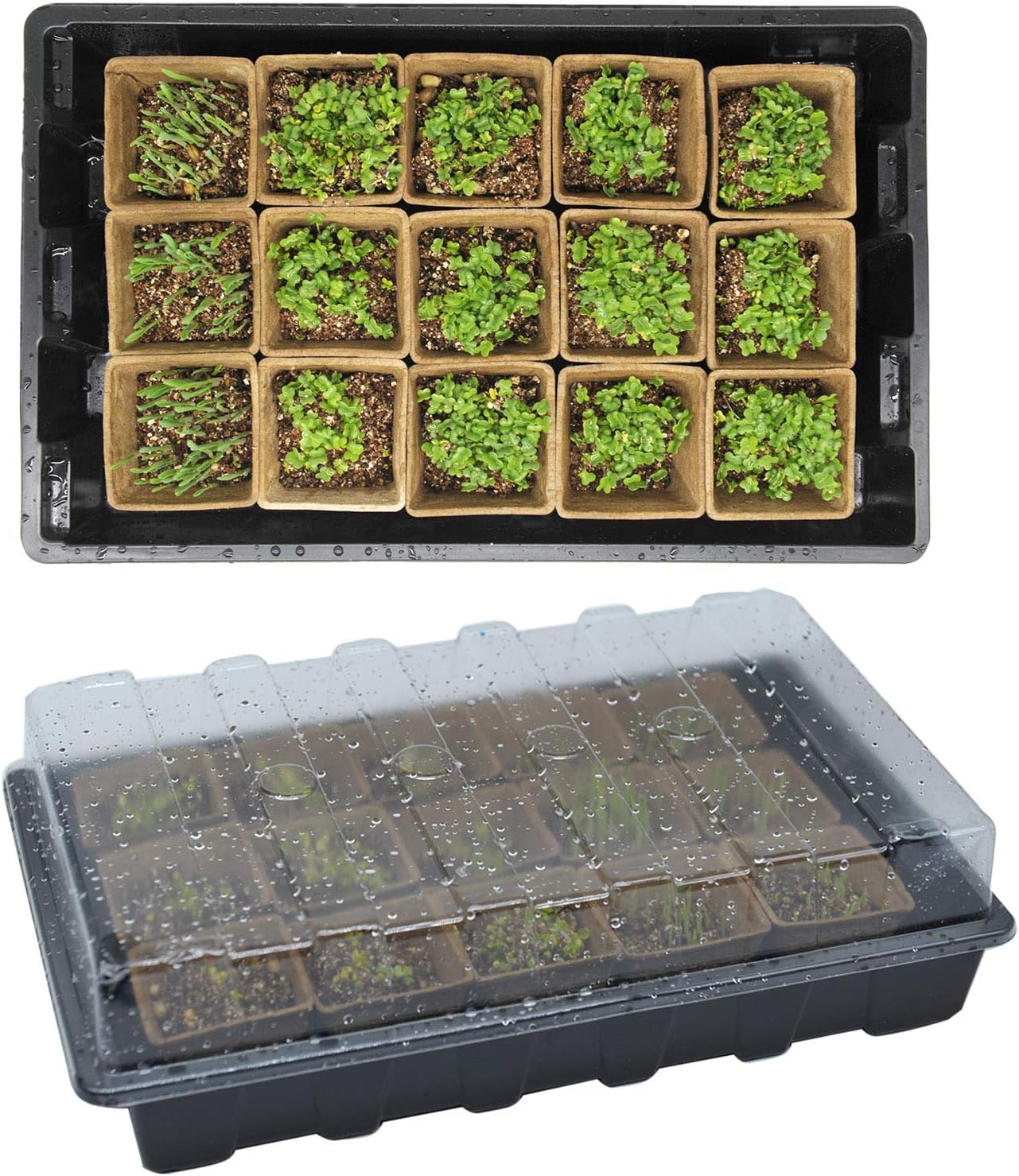 macoya Seed Starter Kit with 100 Peat Pots for Seedlings Seed Starter Tray, 5 Plastic Growing Trays with Water Strainer & Adjustable Humidity Dome Outdoor or Indoor Herb Garden Nursery