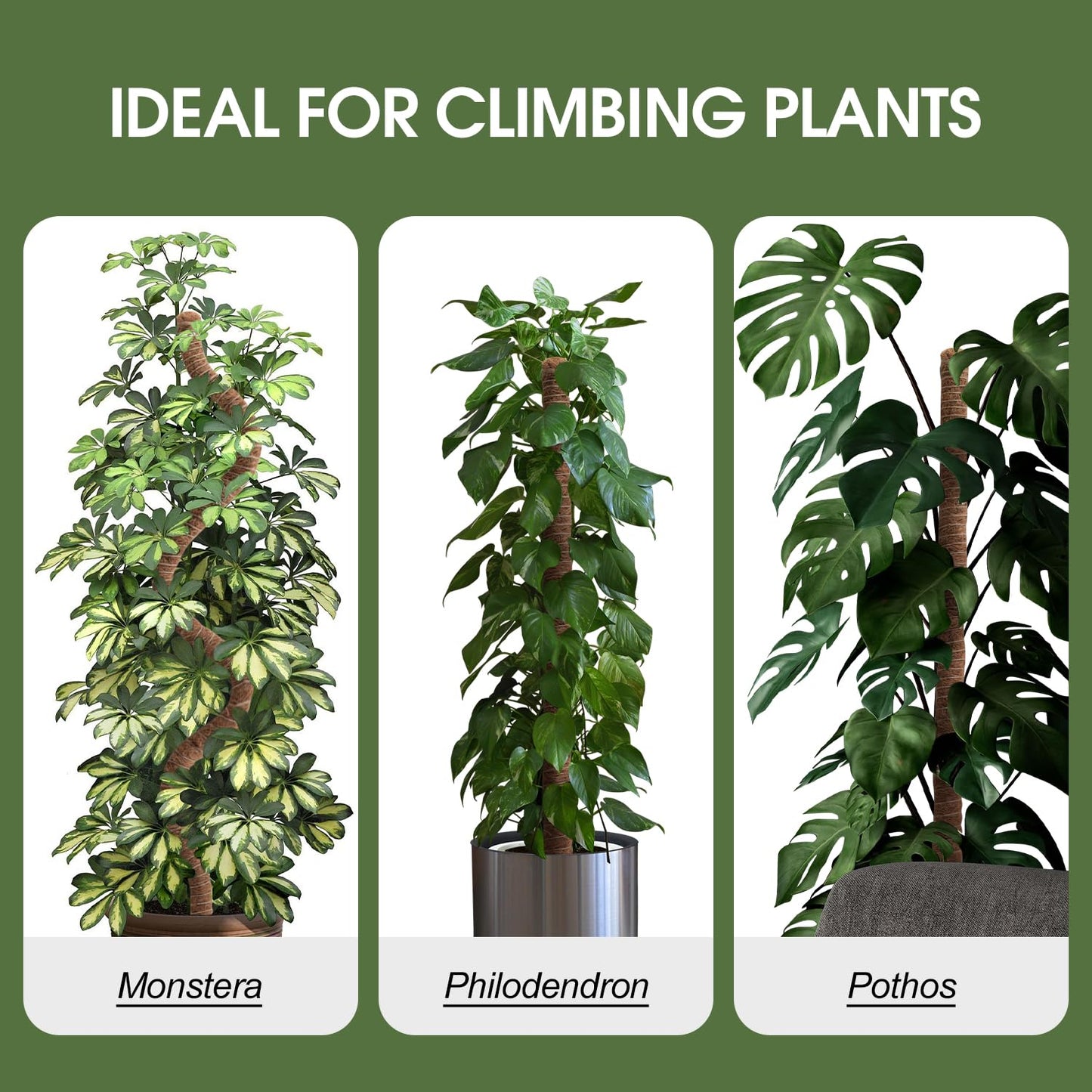 4 Pack Moss Pole 63 Inch Monstera Plant Support Moss Poles Bendable for Climbing Plants Longer Coco Coir Sticks Support Stakes Tall for Indoor Creeper DIY Shape Plants Grow Upwards