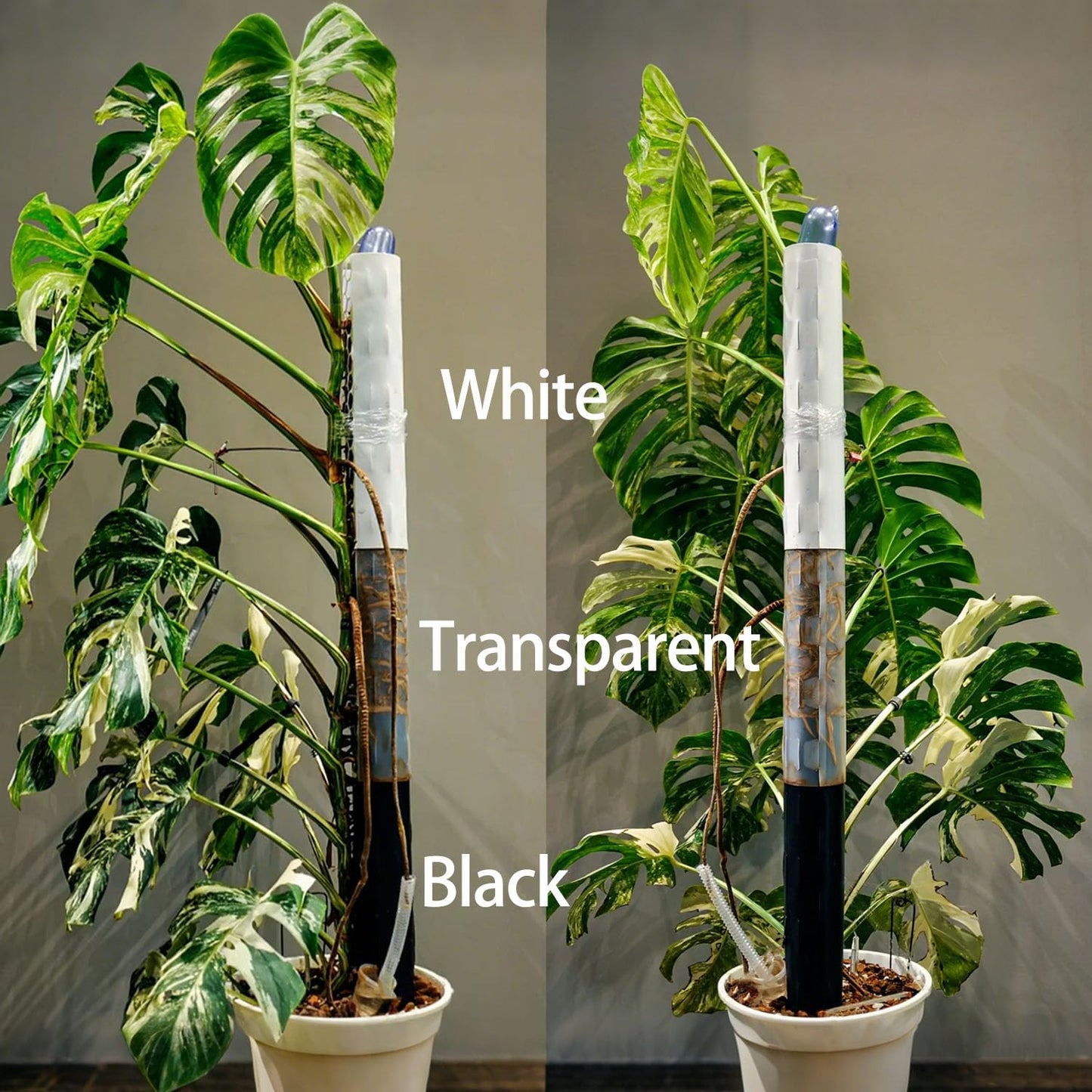 Haispring 8 Pcs 17 Inch Plastic Moss Pole for Plants Monstera,Designed Specifically for Climbing Plants, Stackable Plant Support for Indoor Plants