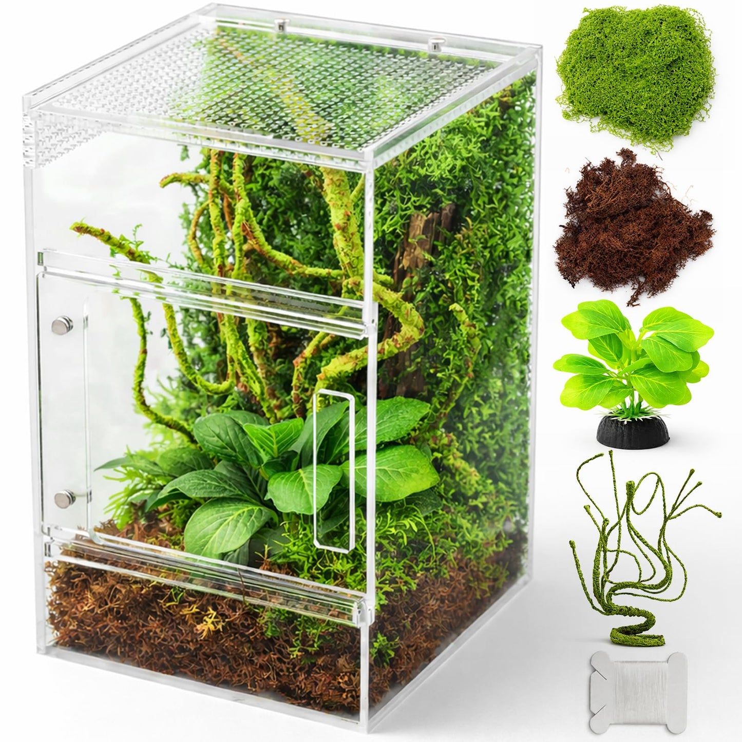 Jumping Spider Enclosure Kit, Waterproof Clear Acrylic Spider Terrarium, Front Opening + Top Access, Ventilated Insect Habitat with Moss Vine, Green Plant, 2 Moss Packs & Invisible Line (6-Piece Set)