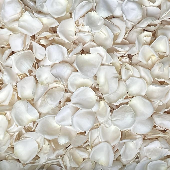 Rose Petals for Wedding Decoration, Bridal Toss, and Aisles, Freeze Dried, Use within 1 month (Ivory, 10 cups)