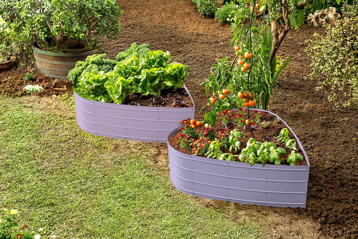 Plant & Plot Galvanized Raised Garden Beds Outdoor // Planter Raised Beds for Gardening, Vegetables, Flowers // Large Metal Garden Box (Lavender) // Tool-Free Assembly