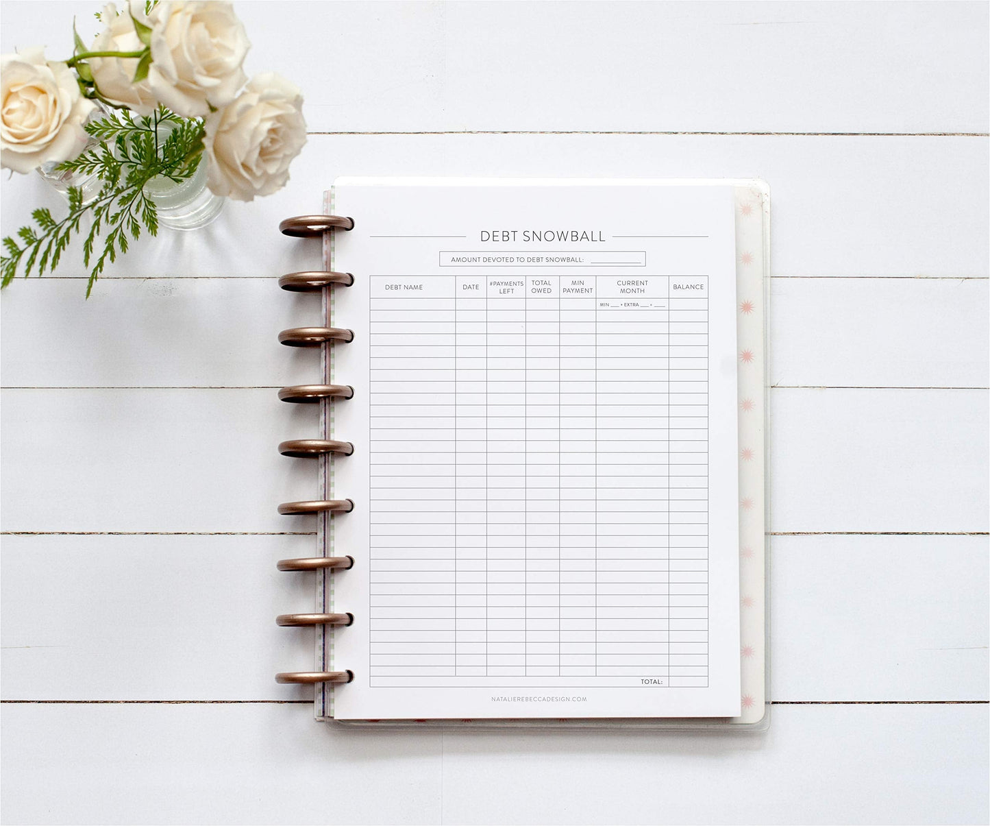 BetterNote Finance Plan Refill for Discbound Notebooks, Bill, Account, Expense, Budget, Debt Snowball, Fits Levenger Circa, The Happy Planner, Arc Systems, TUL, Talia, 1 Year Supply (9-Disc, 7"x9.25")