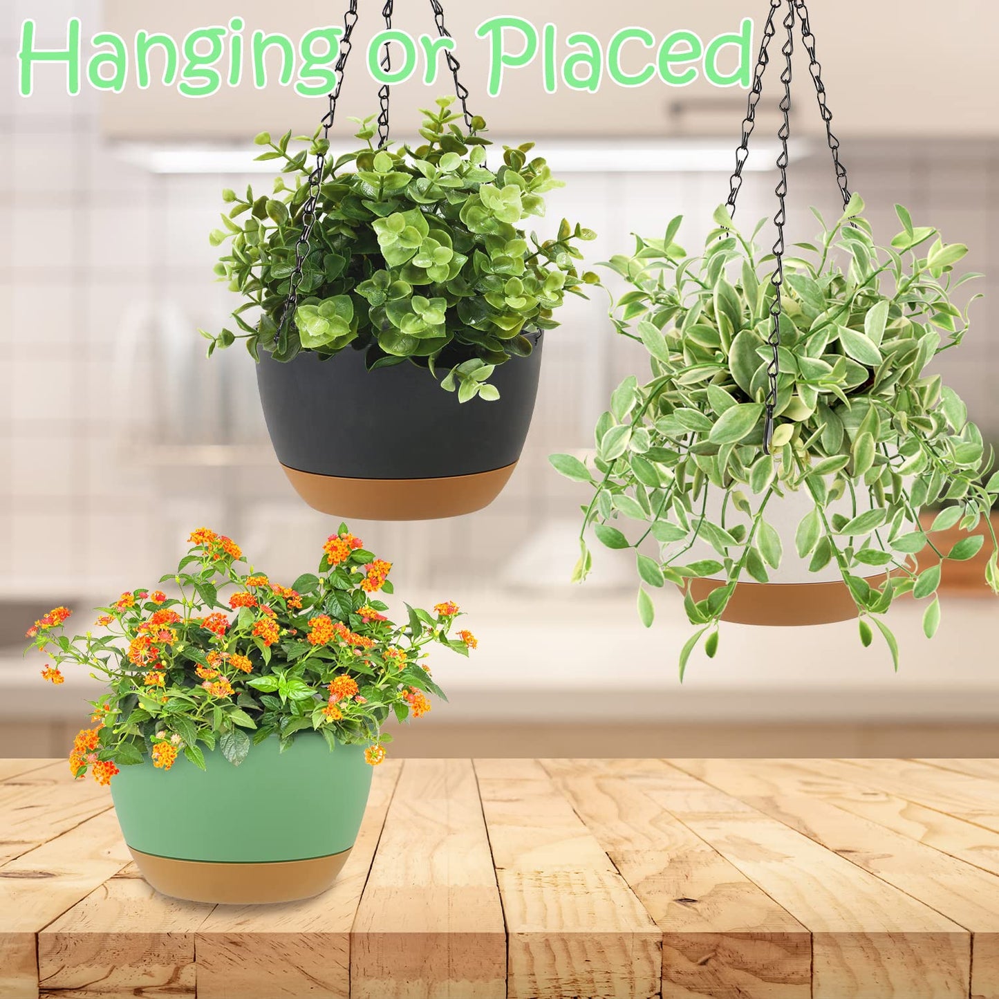 LIYDE 3 Pack Hanging Planters, 8 Inch Small Hanging Pots Self Watering Hanging Planters for Indoor Plants with Drainage Holes and Removable Tray Hanging Basket