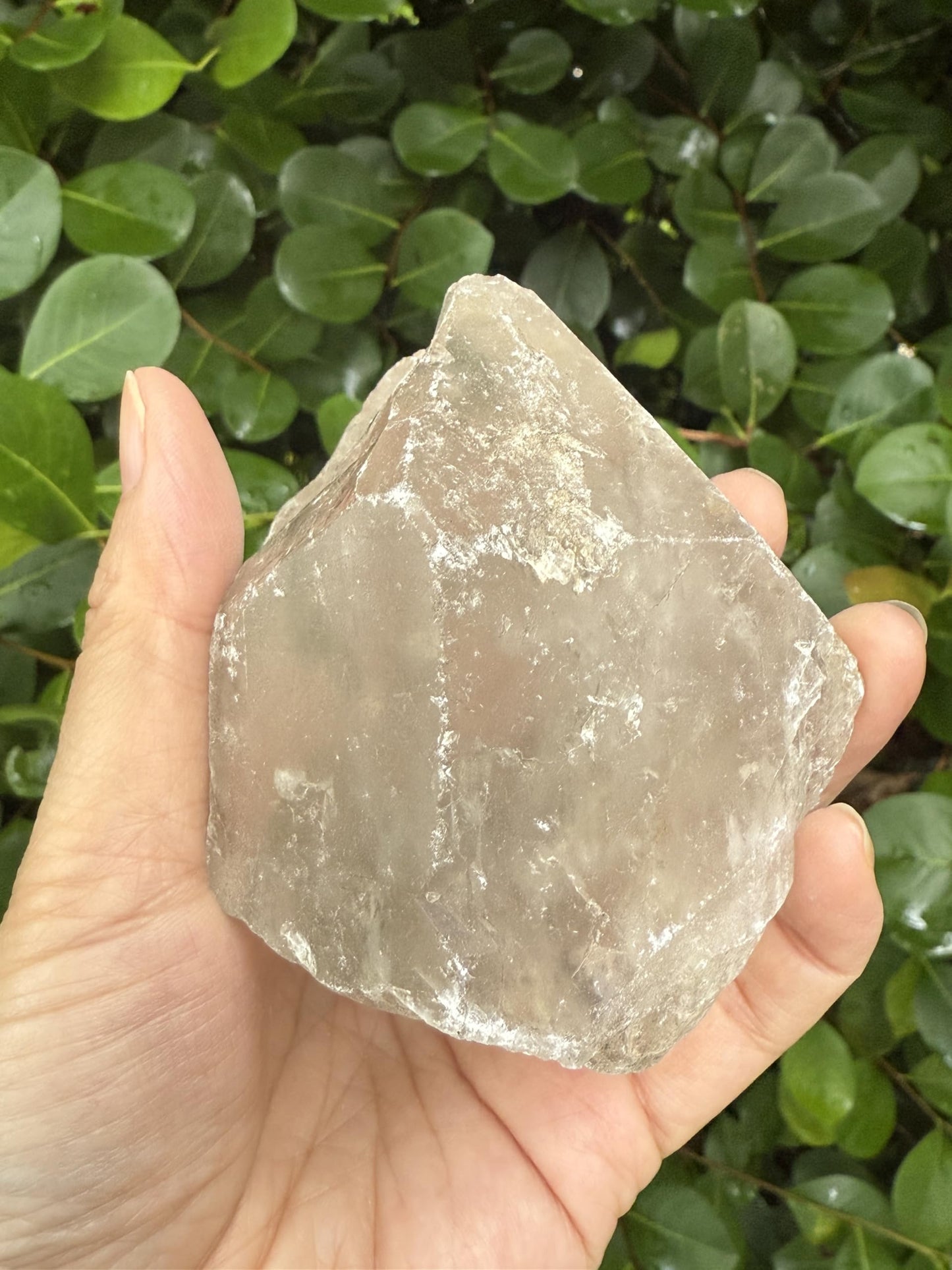 GAF TREASURES XL Raw Clear Quartz, 3-4" Natural Rough Clear Quartz, Clear Quartz Rough, Clear Quartz Healing Rough Crystal (Clear Quartz, 0.5-1 lb)