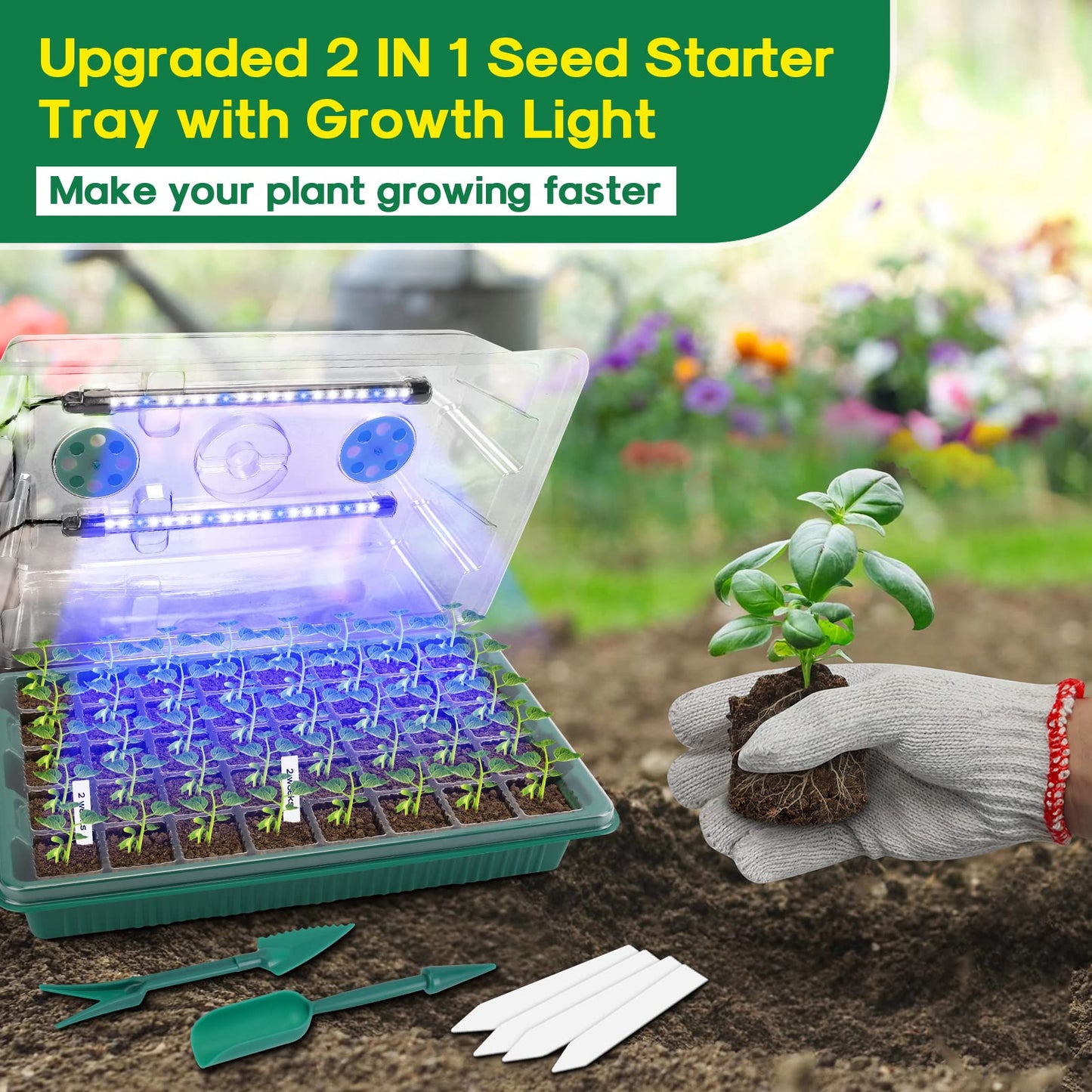 BlumWay Seed Starter Tray with Grow Light,2 Pack 80 Cells Seedling Tray Kit with Humidity Dome/Indoor Plant Starter Kit, Adjustable Brightness Plant Germination Trays-Green