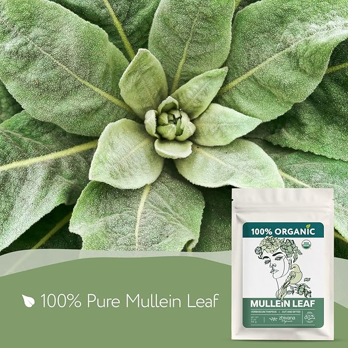 Super Value Pack 5 LB - Organic Mullein Leaf Tea Bulk – Mullen, Mullien, Mullin, Muellin Herb