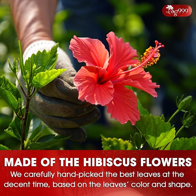 TOG999, Premium Hibiscus Flowers 16oz | Dried Petals | Naturally Caffeine-Free Herbal Tea | Vibrant Color & Tart Floral Flavor | Non-GMO, Gluten-Free, Vegan | Perfect for Tea, Beverages, and Crafts
