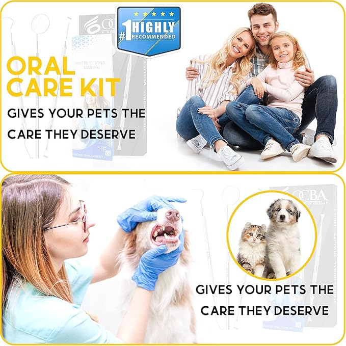 Dental Plaque Remover for Teeth Cleaning Kit for Plaque Removal Tools Including Dentist Mirror for Personal and Home Use