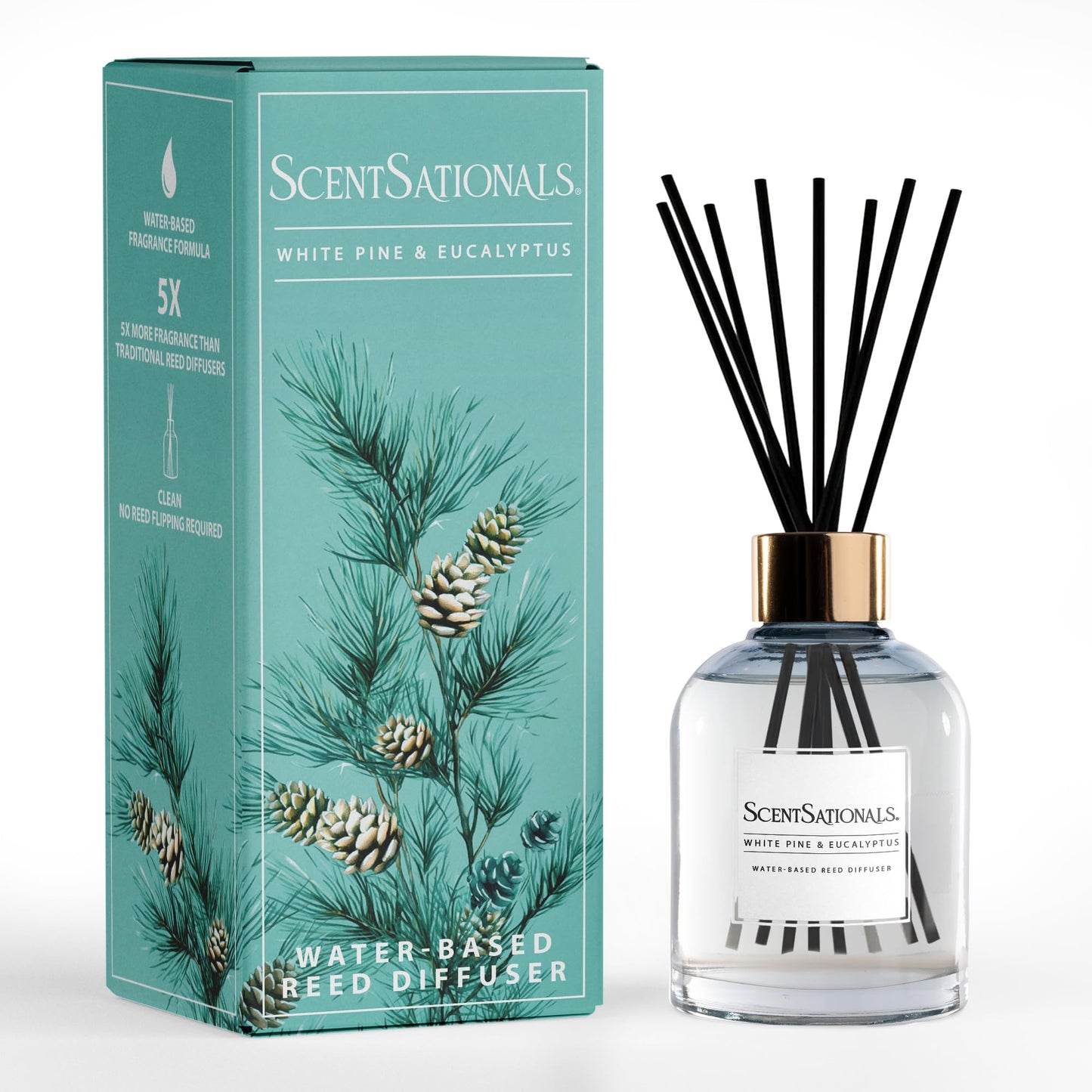 ScentSationals Water-Based Reed Diffuser - White Pine & Eucalyptus - 5 FL OZ Aromatherapy Reed Diffuser