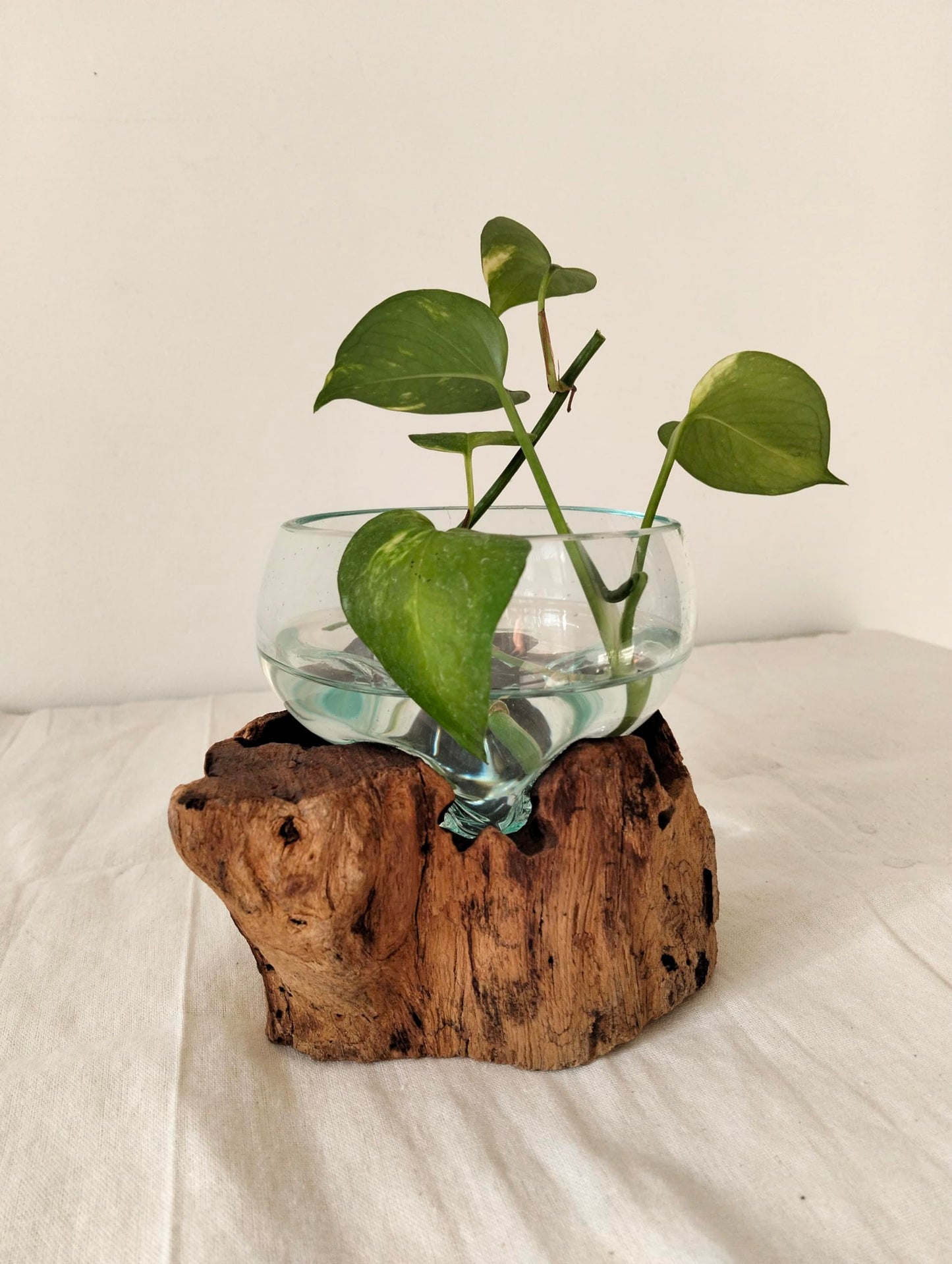 Flowing Glass Vase Handmade in Exotic Bali, Unique Housewarming Gift, Wedding Gift, Natural Boho Decor, Work of Art and Functional Vase, Art Meets Nature in Every Curve