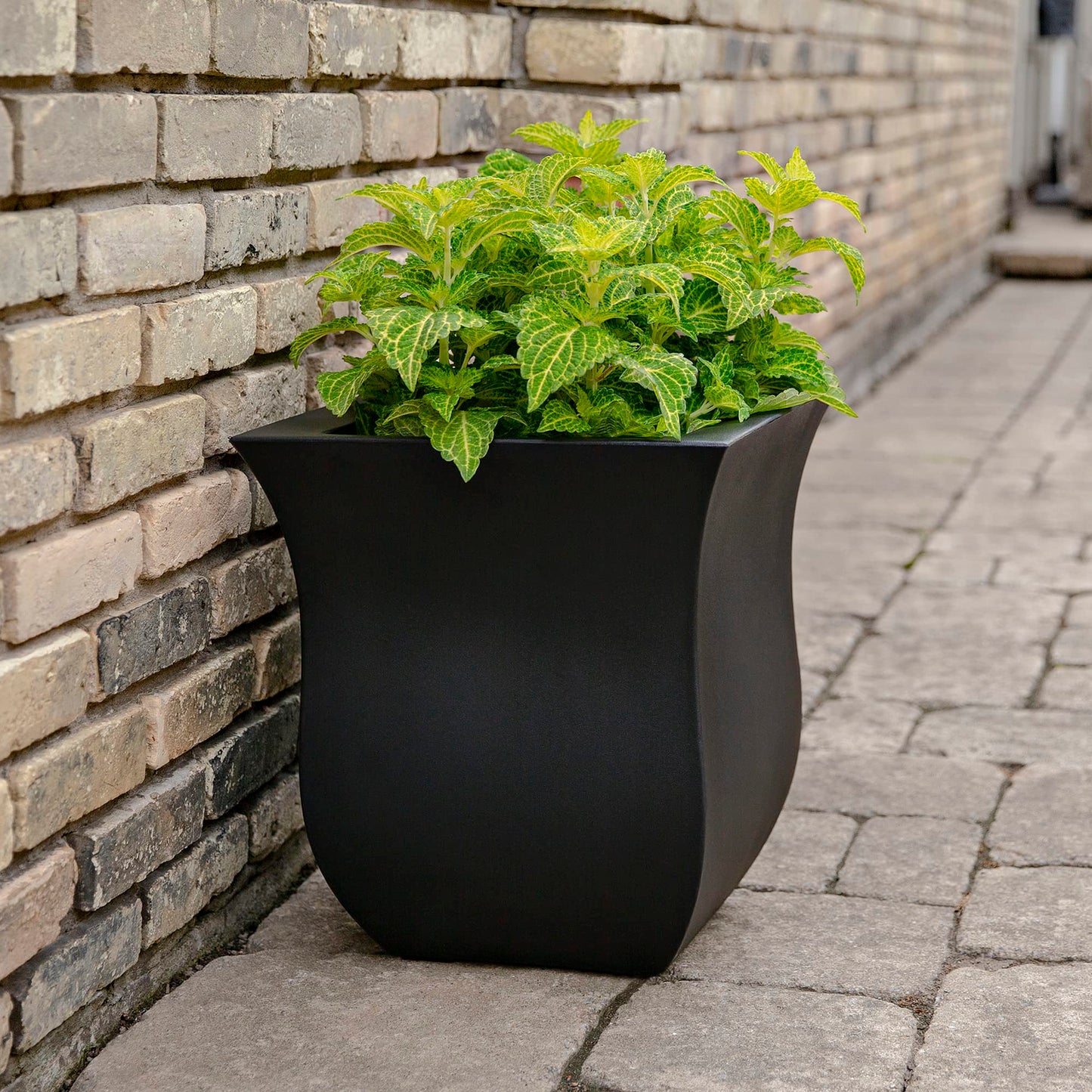 Mayne 5873-B Polyethylene Planter, Black 16x16