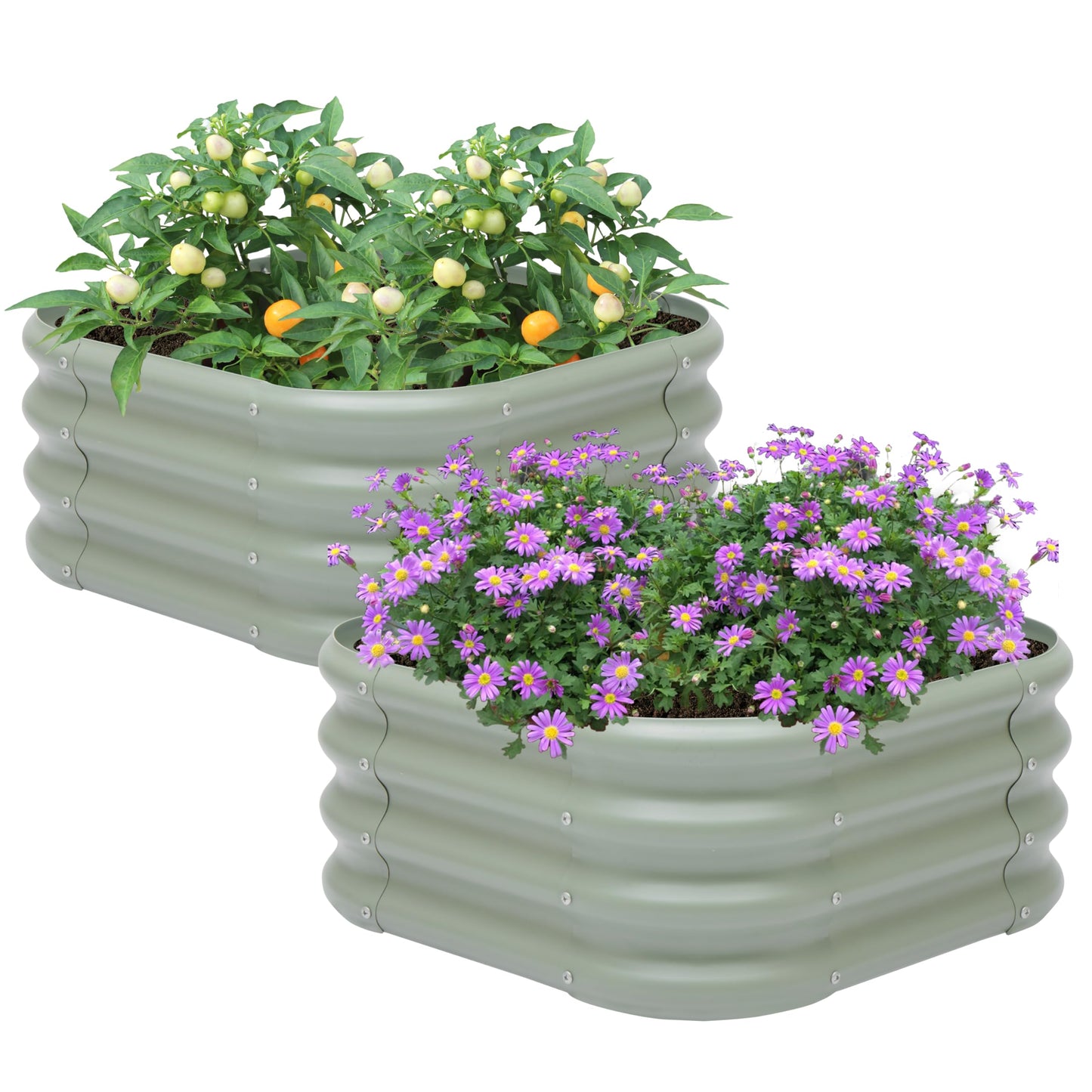 2-Pack 2x1ft Galvanized Raised Garden Bed, Outdoor Planter Bed, Metal Planter Box for Gardening and Planting,LG