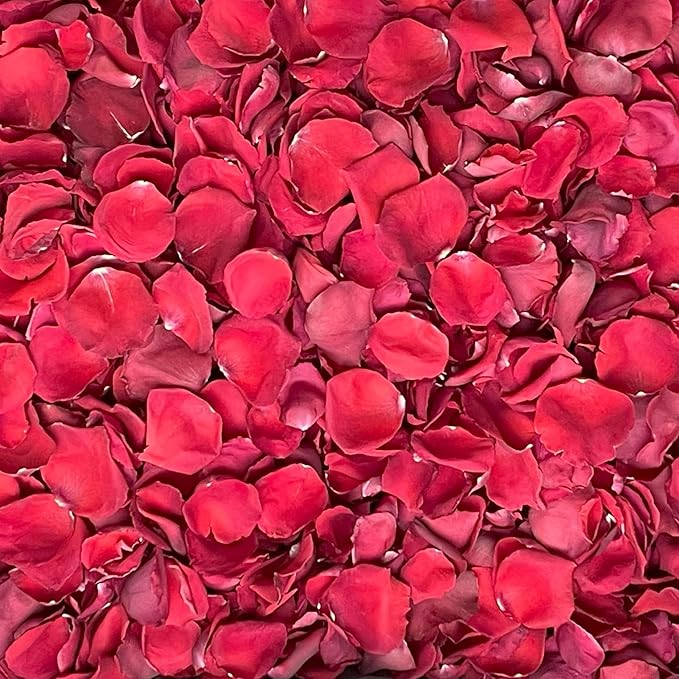 Rose Petals for Wedding Decoration, Bridal Toss, and Aisles, Freeze Dried, Use within 1 month (Red, 30 cups)