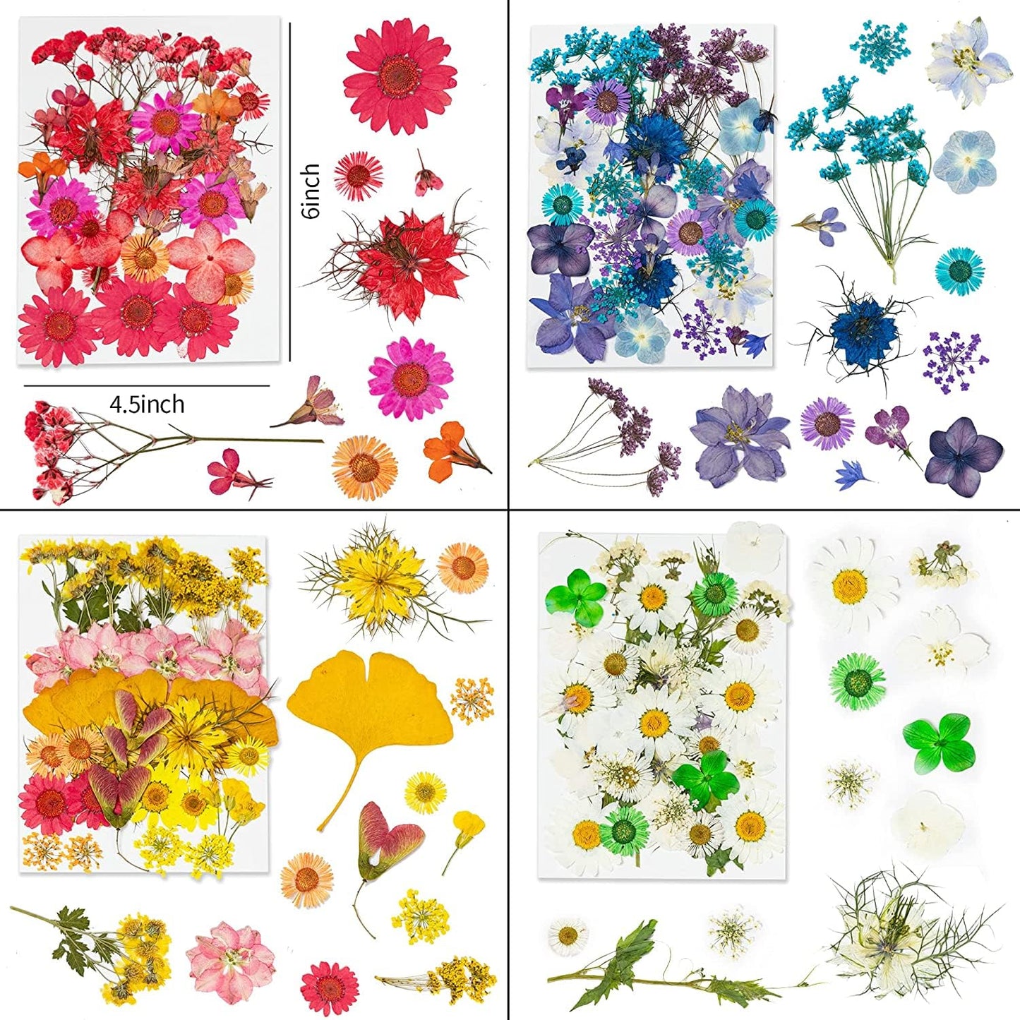 Dried Pressed Flowers, 170+ Pcs Mixed Dried Flowers for Resin, Bulk Natural Dry Floral Resin Fillers Decoration Accessories for DIY Crafts, Scrapbooking