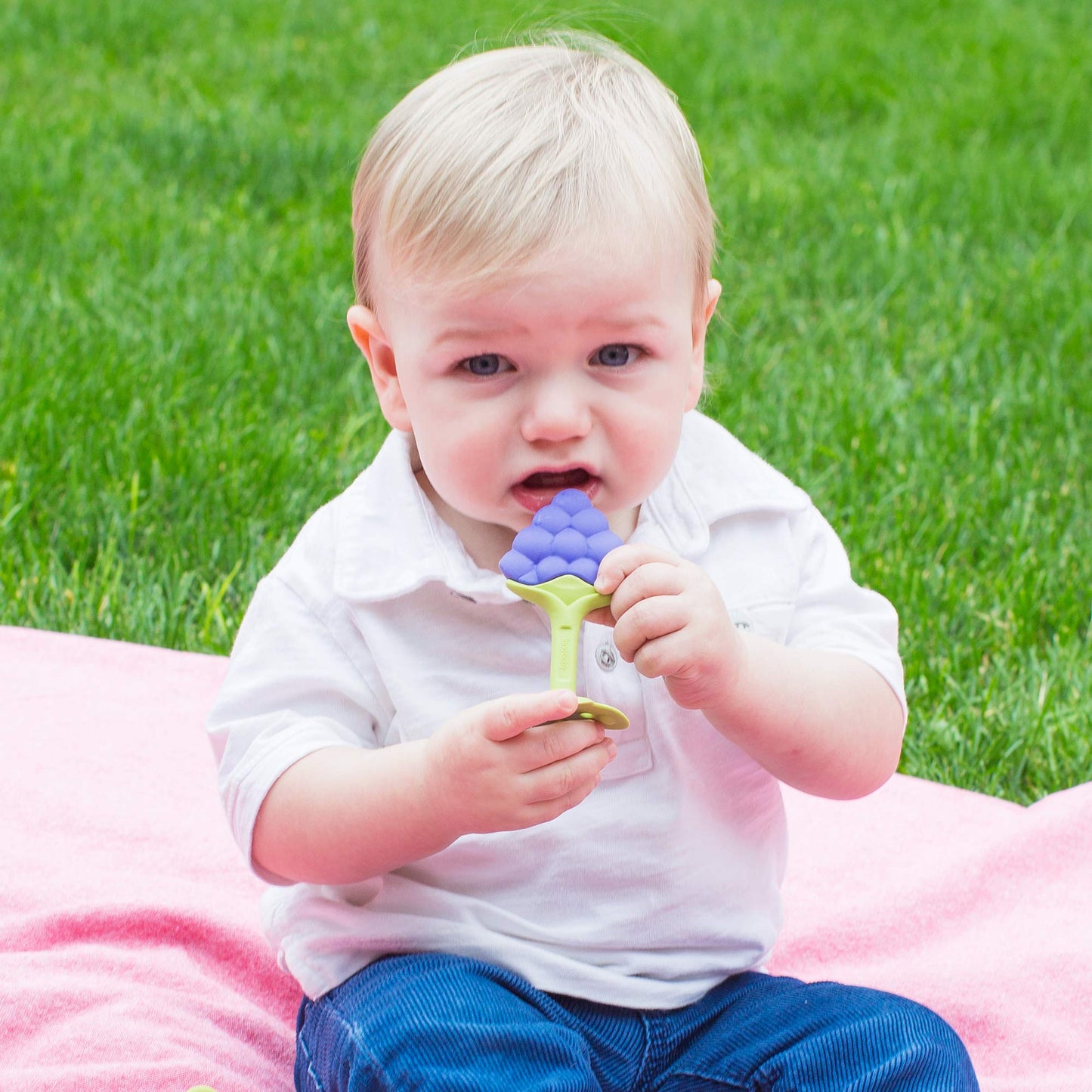 Innobaby Original Teethin Smart EZ Grip Fruit Teether and Sensory Toy for Babies and Toddlers in Grape. BPA Free Teether