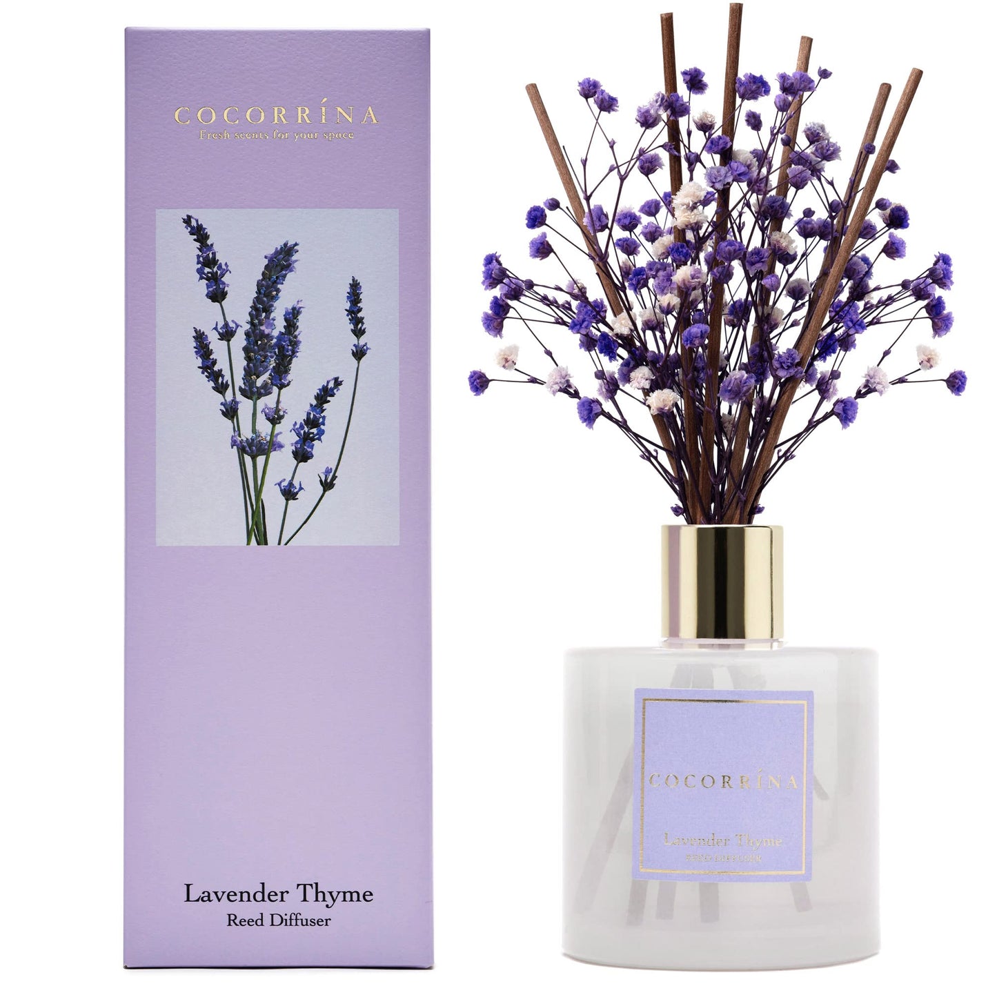 Cocorrína Premium Reed Diffuser Set with Preserved Baby's Breath & Cotton Stick Lavender Thyme | 6.76 Fl.oz Scent Diffuser for Bedroom Bathroom Home Décor
