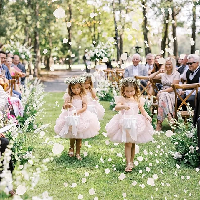 2500+ Real Dried Lvory White Hydrangea Petals - 1.76 oz Preserved Natural Flower Petals for Wedding Decor, Party Confetti, Dinner Table Centerpieces, Handcrafts