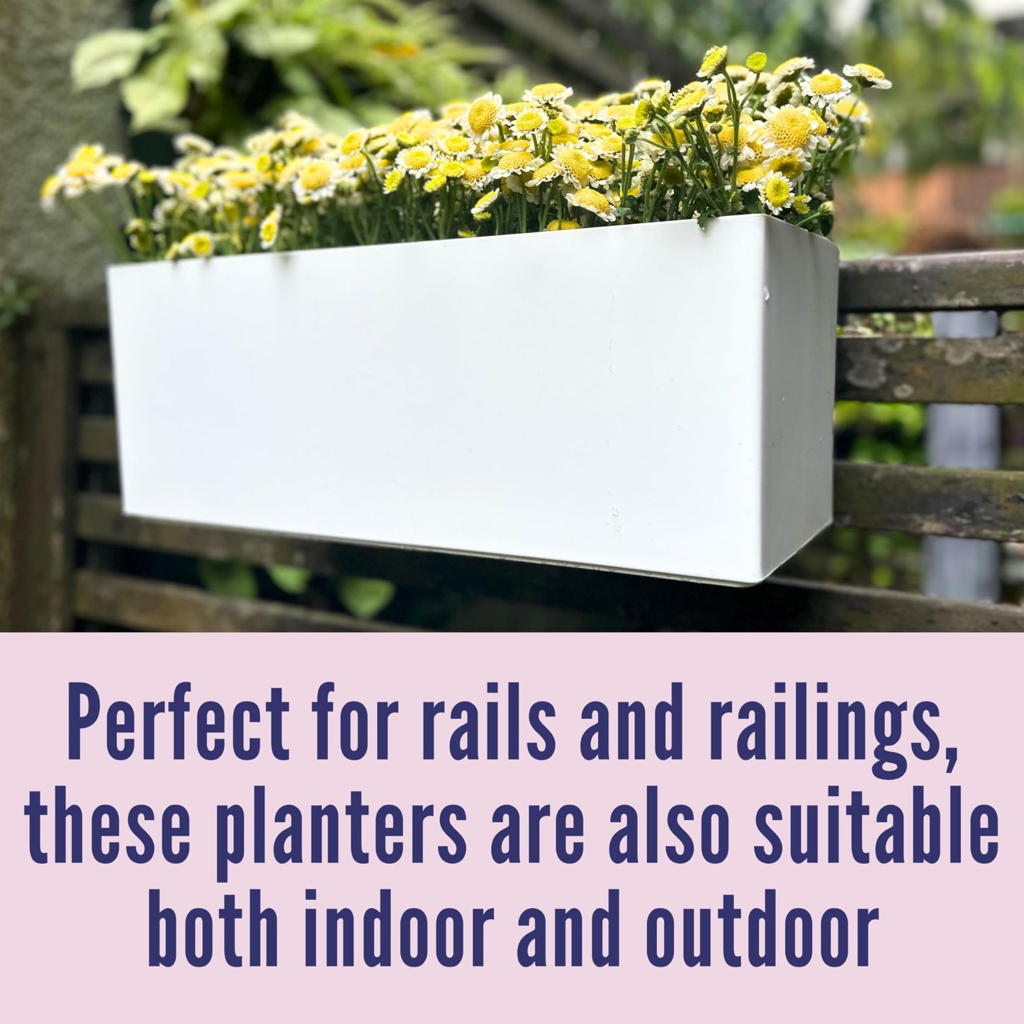 LaLaGreen Bundle- 4 Pack, 11 Inch Self Watering Hanging Basket + 2 Pack, 14 Inch White Rectangular Planter Window Flower Box with Bracket Round Plant Pots Outdoor Balcony Patio Porch Deck Garden Decor