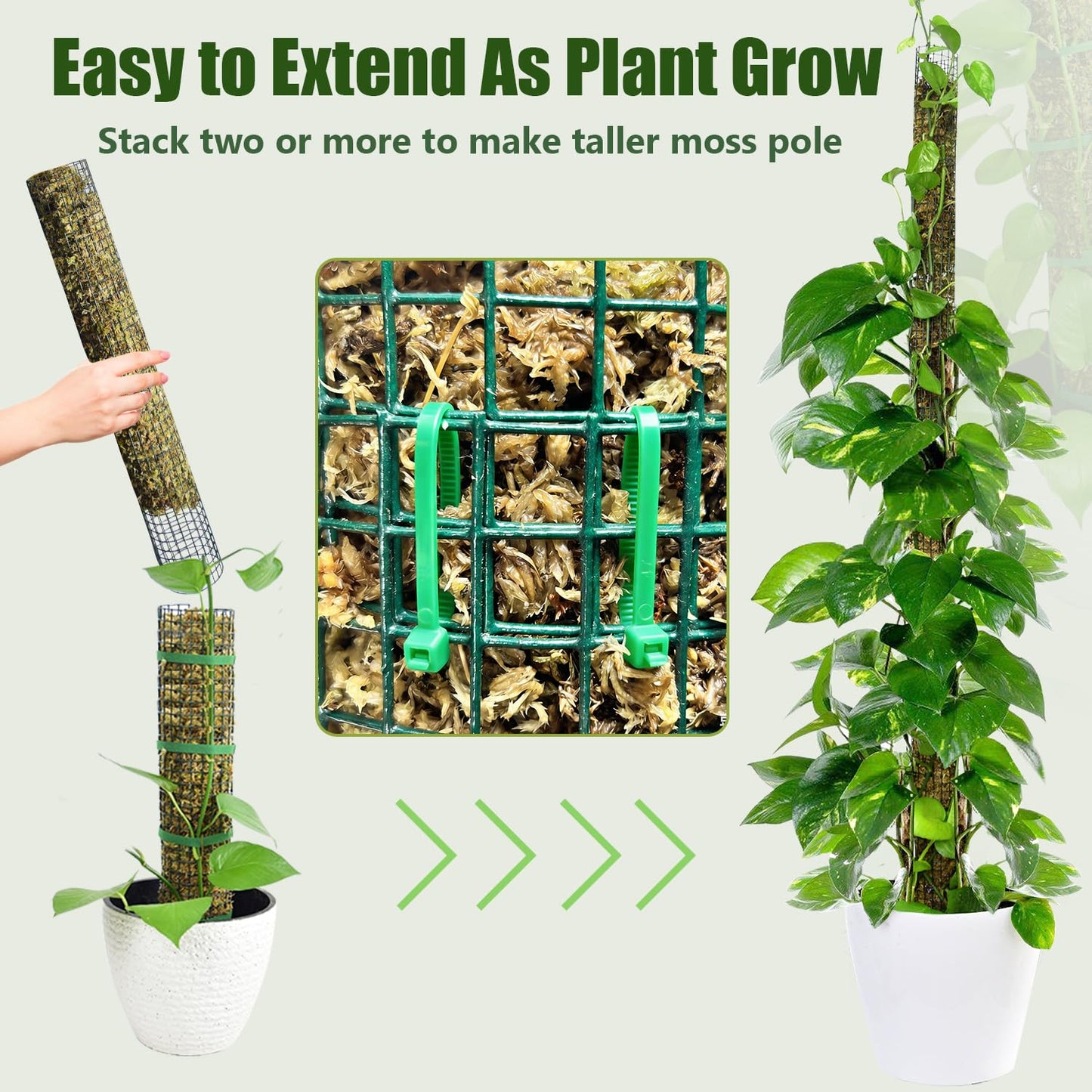 Metal Moss Pole, 60"/40"/24" Moss Poles for Plants Monstera, Stackable Sphagnum Moss Pole, Plant Poles for Climbing Plants Work with Sphagnum Moss(1 Each of 60" 40" 24")