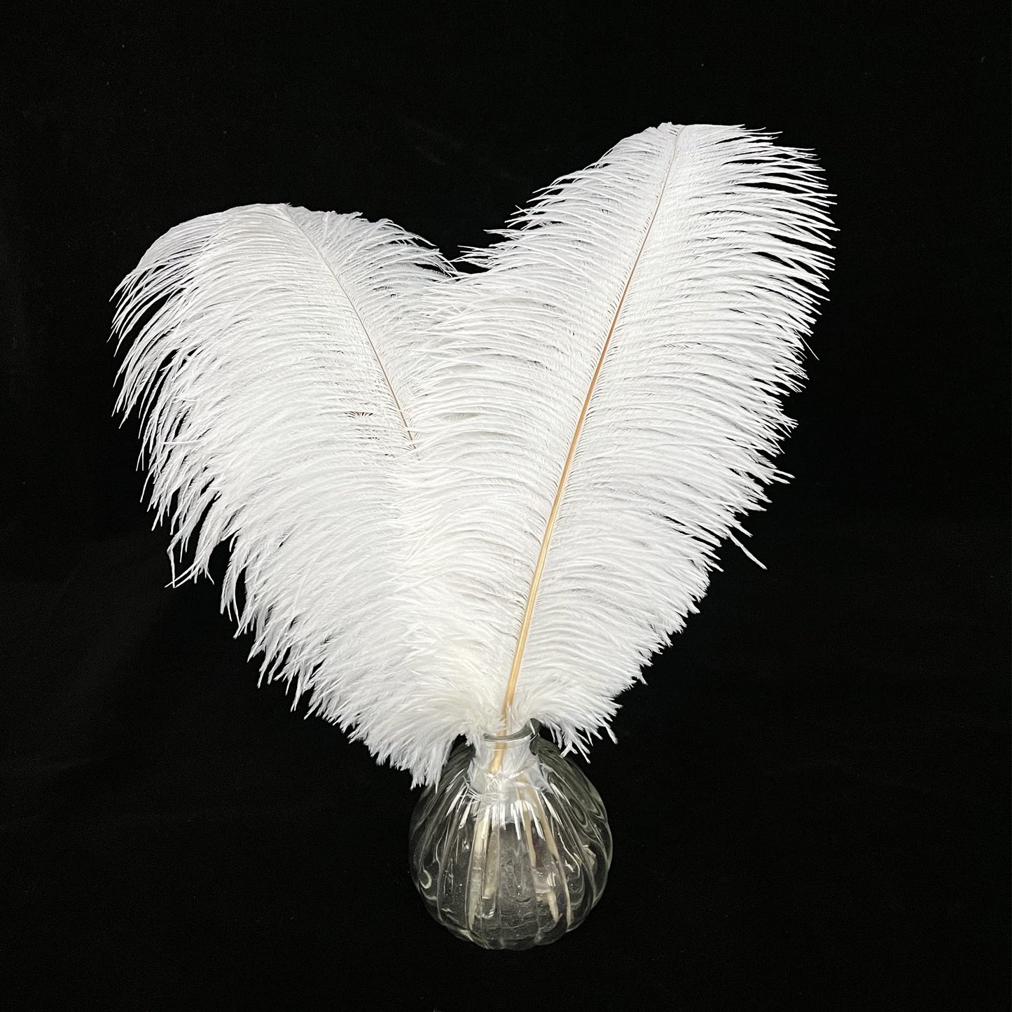 Happy Feather 16-18 inch White Ostrich Feathers Craft for Wedding Party centerpieces Home Decoration DIY Craft Pack of 10