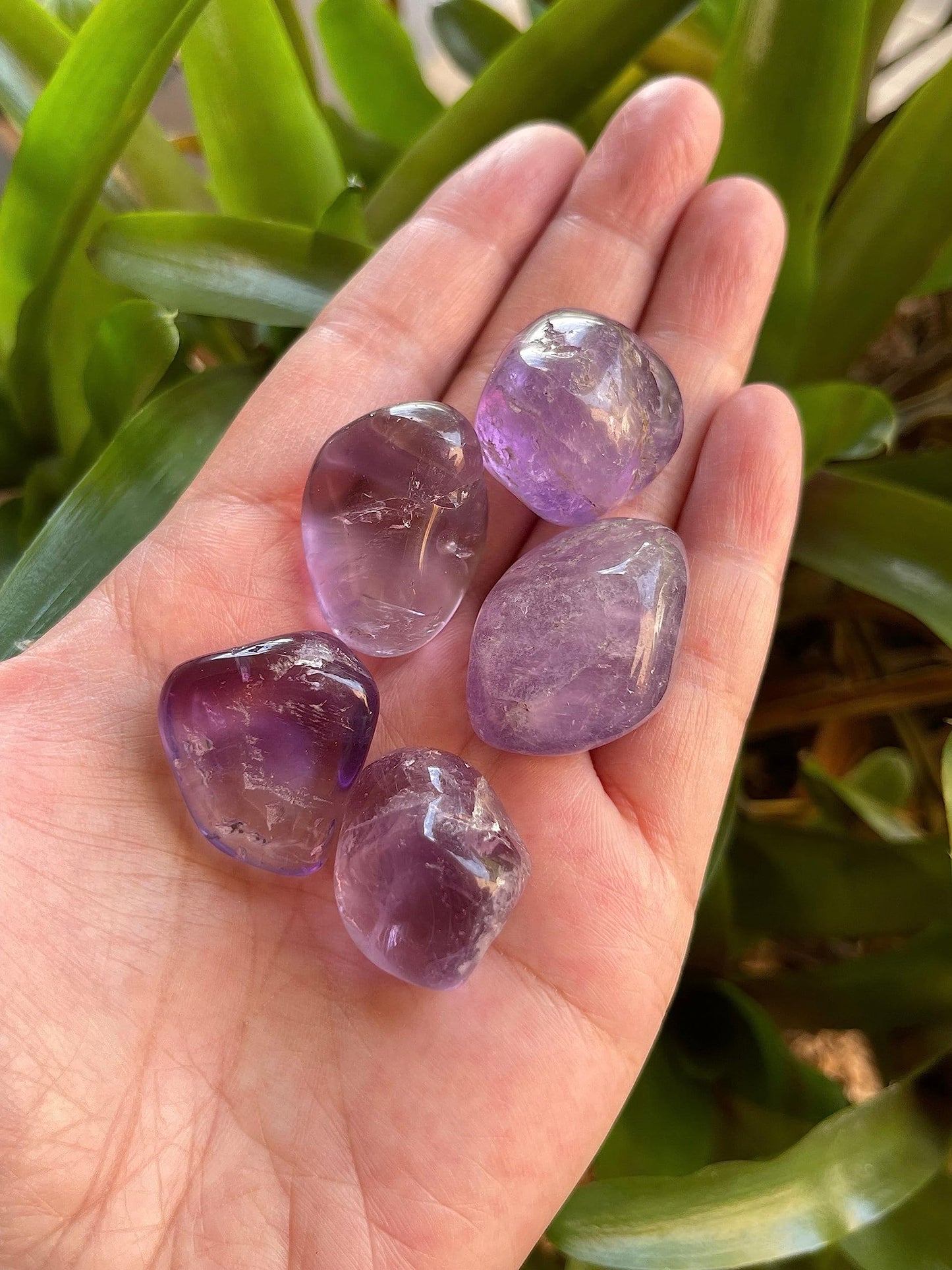 GAF TREASURES 5 Pcs Amethyst Tumbled Stones, Polished Natural Amethyst Gemstone, Amethyst Healing Crystals (Amethyst)