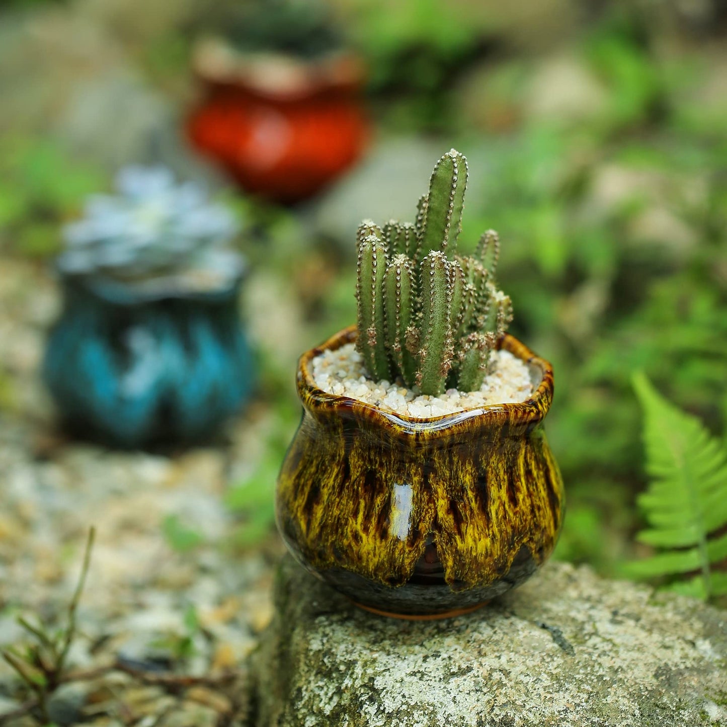 Fulloog Cute Ceramic Succulent Planters, Garden Pots with Drainage and Attached Saucer, Set of 6 - Plants Not Included
