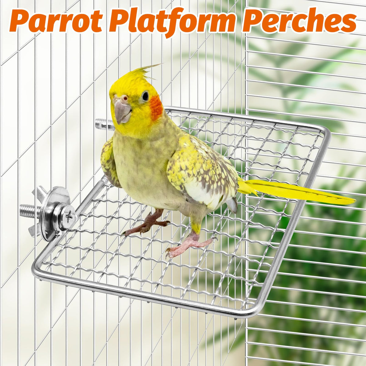 BNOSDM Bird Perch Platform 2 Pcs Stainless Steel Grid Parrot Perches Stand Shelf Parrots Platform Perch Small Birds Cage Accessories for Parakeets, Budgies, Conures, Cockatiels, Lovebirds (S)