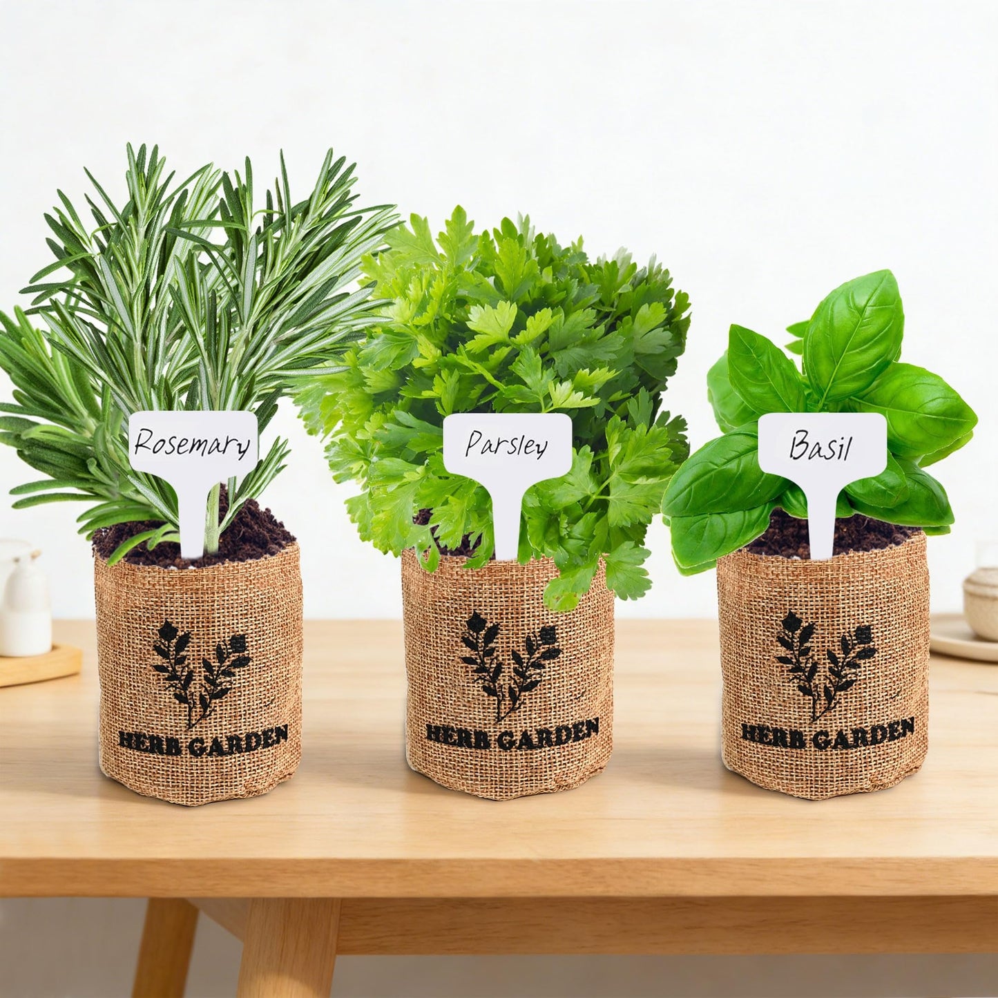 Meekear 5 Herb Indoor Starter Kit, Complete Planting Set for Kitchen Herb Garden DIY & Gift