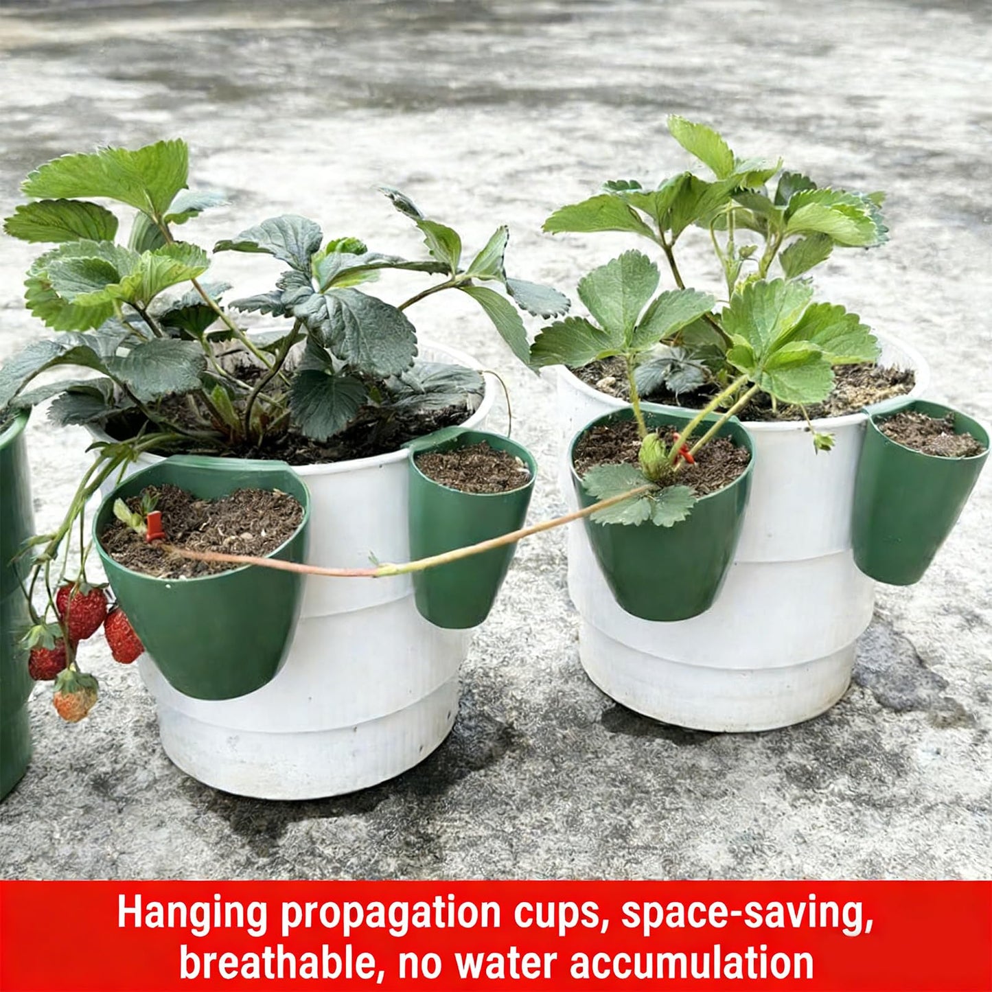 Propagation Cup Set Featuring Food Grade and Runner Forks Ideal for Strawberry Runners and Seedling Cultivation Drainage Planting Cups
