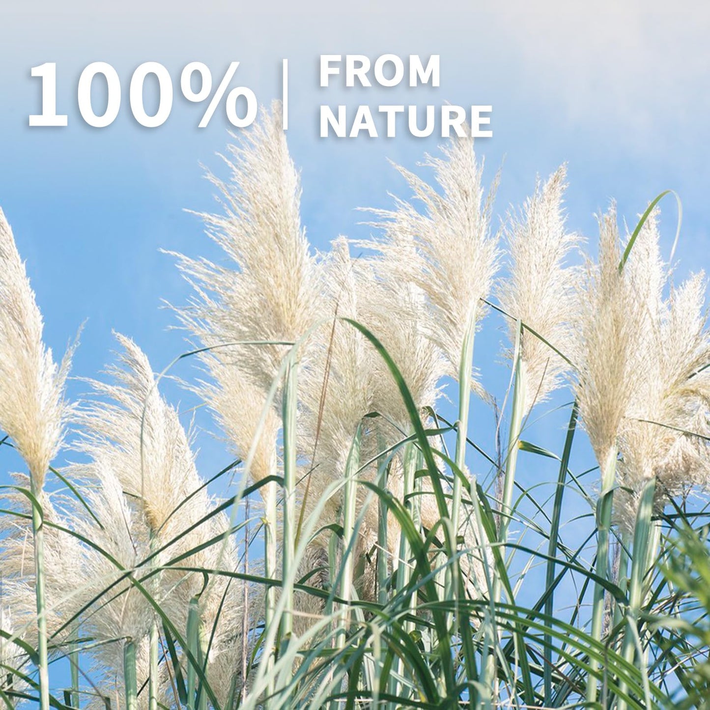 Le courant 17" 300Pcs Dried Pampas Grass Decor, Naturally Small Boho Pampas Grass with Bunny Tails & Reed Grass for Home Table Decor, Wedding, Rustic Farmhouse Party Decorations, White and Brown