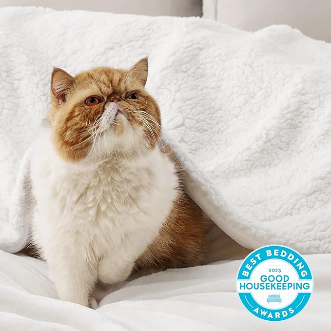 Bedsure Sherpa Fleece Throw Blanket for Couch - Thick and Warm, Soft Fuzzy Plush Throw Blanket for Winter, White, 50x60 Inches