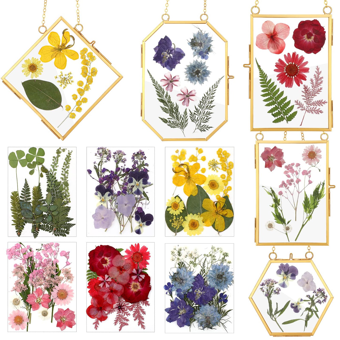 Bucherry 5 Pcs Glass Frame for DIY Pressed Flowers Art Brass Hanging Photo Picture Frame with Chain and 6 Styles Pressed Flowers Collage Glass Craft Frames for Wall Decor Display Gallery (Gold)