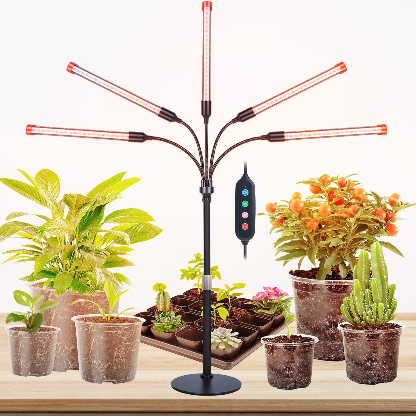 FECiDA 2026 5Head Table Top Grow Lights for Seed Starting, Indoor Plants, Bonsai, 45 Watt Power Draw, NO Need Adapter, 4/8/12/16/20H Timer, 16"-24" Height Adjustable, Big Coverage
