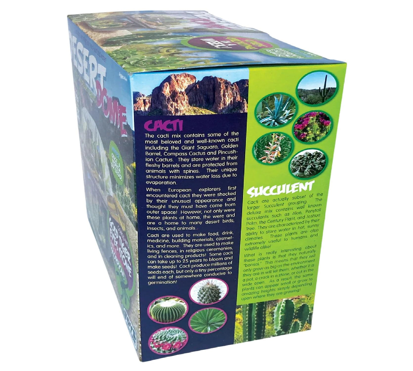 Cactus Succulent Desert Dome Seed Starter Kit - Indoor Desert Starter Kit - Includes Potting Soil, Terrarium, Over A Dozen Desert Plant Seed Packets - DIY Kitchen Grow Kit