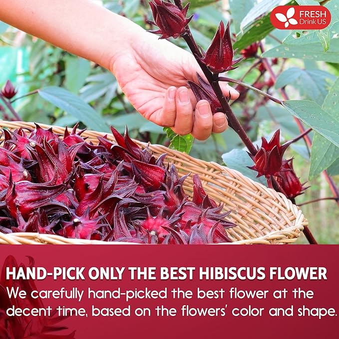 FreshDrinkUS, Premium 16oz Hibiscus Flower Powder, 100% Natural and Pure from Hibiscus Flowers, Natural Food Coloring, Hibiscus Flowers Tea, No Additives, No Gluten, No Sugar, Vegan