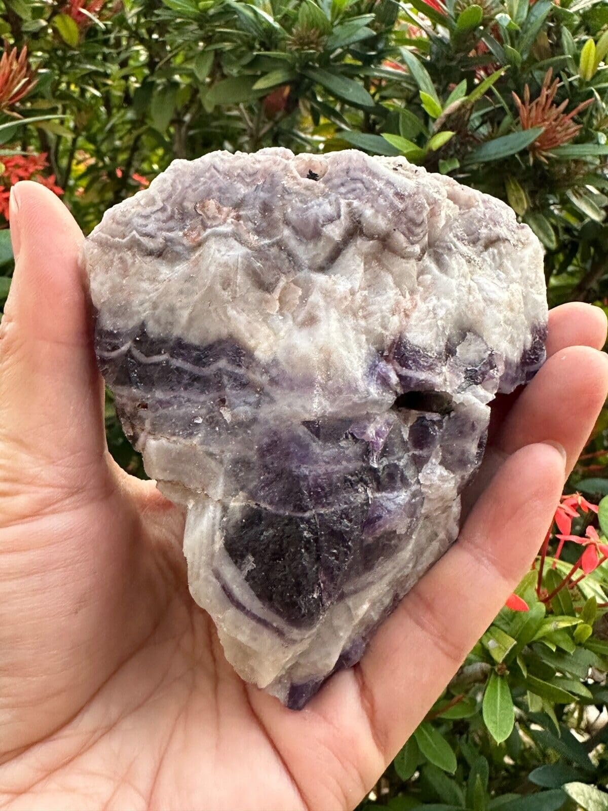 GAF TREASURES XL Raw Chevron Amethyst, 3-4" Natural Rough Chevron Amethyst, Chevron Amethyst Healing Rough Crystal (Chevron Amethyst, 0.5-1 lb)
