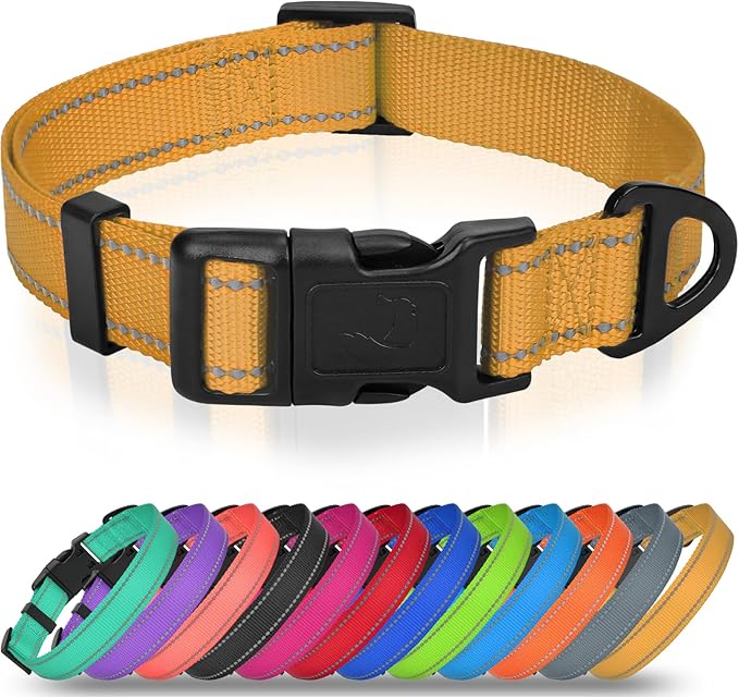 Joytale Feather-Light Dog Collar for Medium & Large Dogs, 1", Red