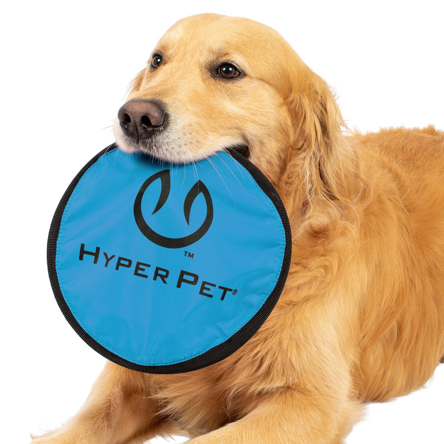 Hyper Pet Flippy Flopper 9" Flying Disc Soft Dog Toy, Floats in Water & Safe on Teeth, for All Breeds, Pack of 5 (Colors May Vary)