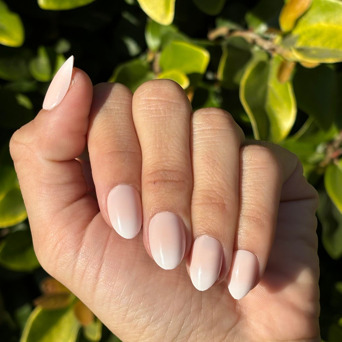 OMBRÉ MOOD Press-On Nails by Lavaa Beauty | Short Rounded Ombré French Glossy Nails