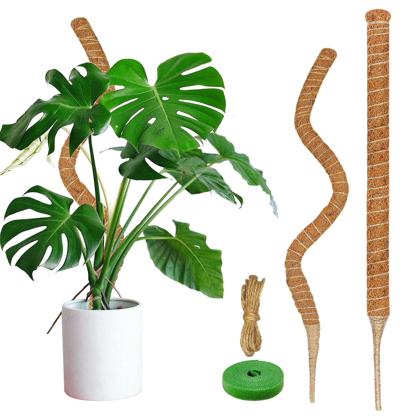 Dimpoo 2 Pack Moss Pole, 35.4-Inch Moss Poles for Plants Monstera,Bendable Plant Support Stakes for Climbing Plants Indoor, Garden Trellis Plant Stick for Potted Plants, Pothos Philodendron