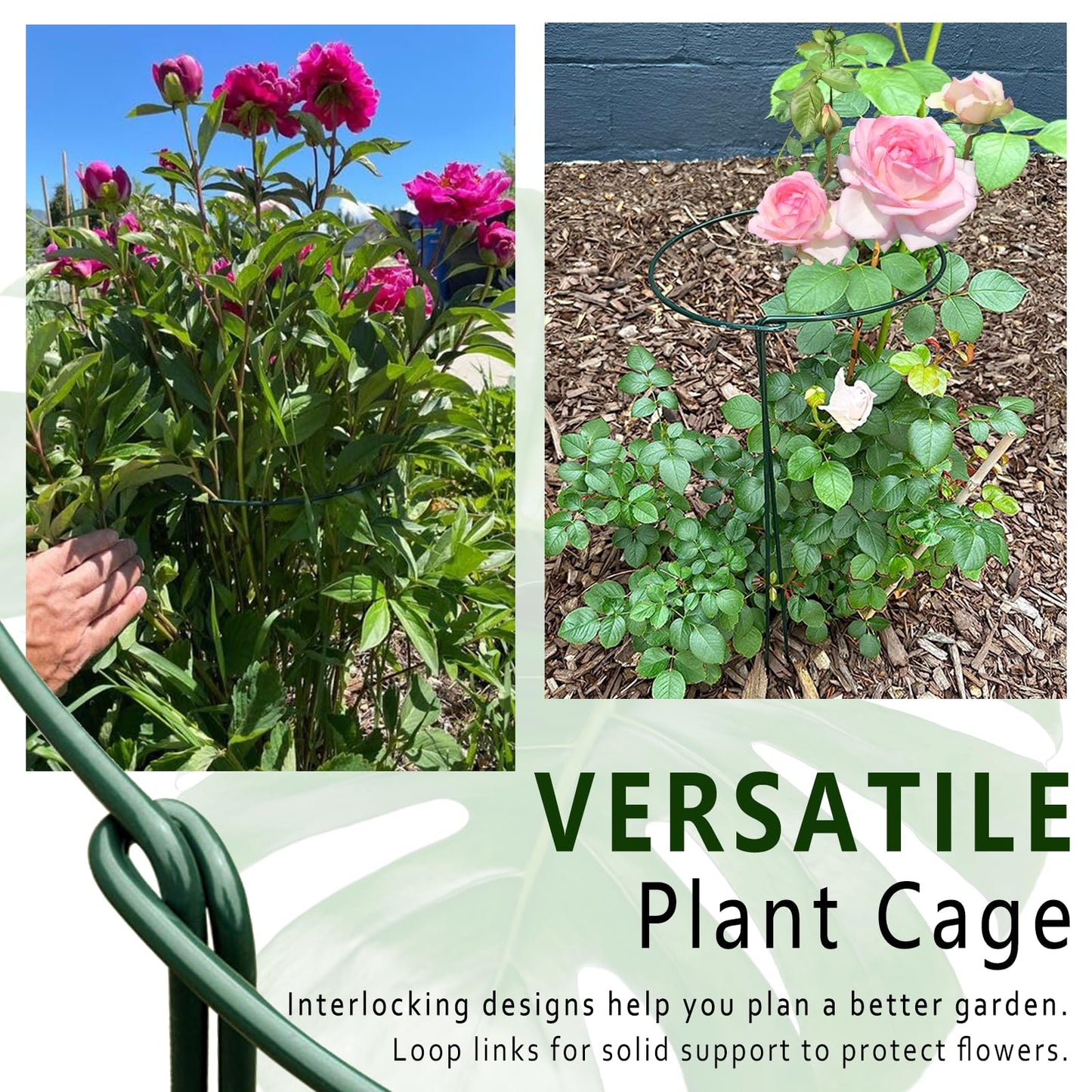 6 Pack Detachable & Assemblable Metal Plant Support Stakes - Garden Support Ring, Tomato Seedling Cage, Young Monstera/Pothos for Growing Indoor/Outdoor (10" W x 16" H)