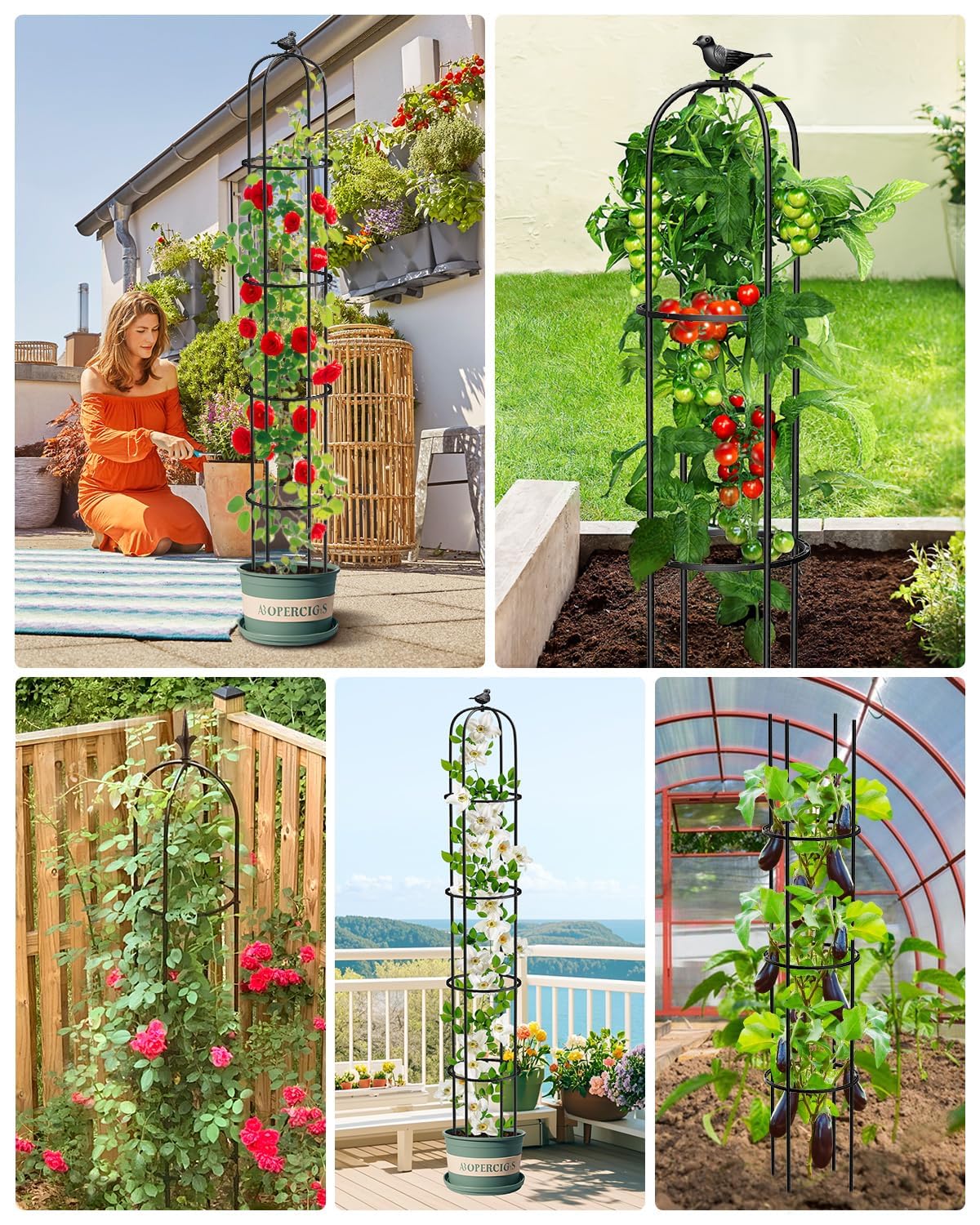 2 Pack Garden Obelisk Trellis for Climbing Plants Outdoor, 6.2 FT Tomato Cage, Rose, Flowers, Grape, Pea, Cucumber Trellis, Rustproof Plastic Coated Metal Plant Support Trellis for Potted Plants