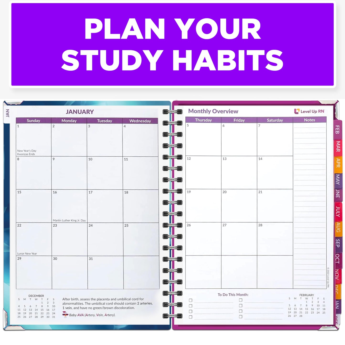 Nursing School Study Planner - Nursing Student Gifts - Spring 26/Fall 26 Calendar Year - Dates Start January 1st 2026 through January 31st 2027