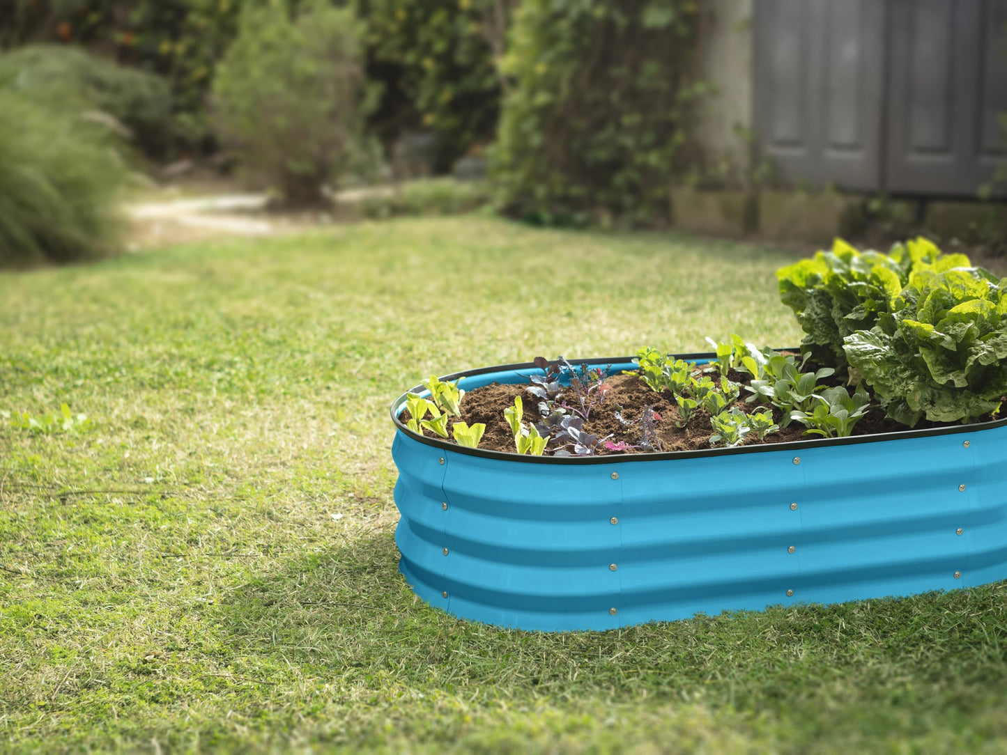 Plant & Plot Galvanized Raised Garden Beds Outdoor // 4×2×1 ft Planter Raised Beds for Gardening, Vegetables, Flowers (Teal) // Large Metal Garden Box