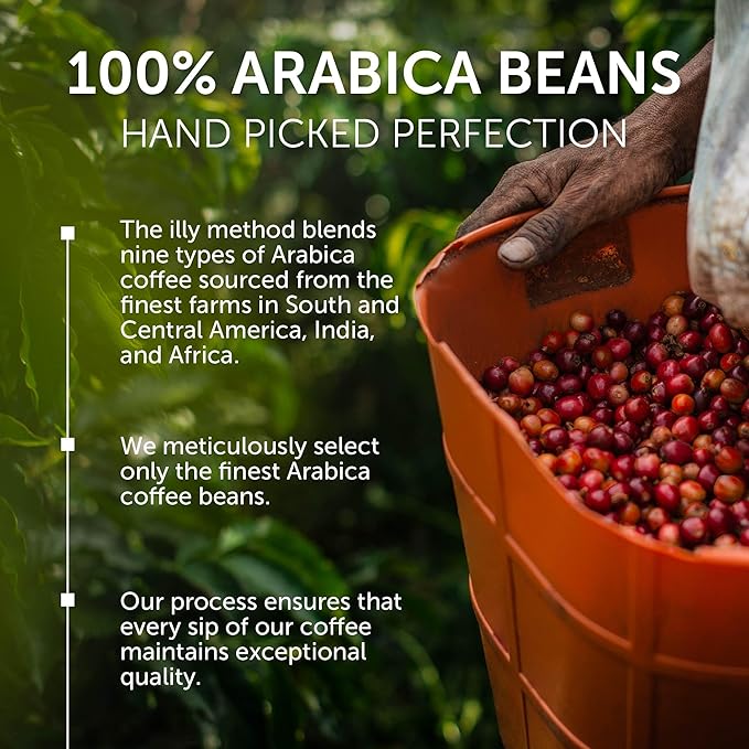 illy Whole Bean Coffee, Etiopa Single Origin Light Roast, 100% Arabica, Premium Italian Coffee, Ideal for Espresso, Drip, Moka and French Press Brewing, 8.8oz, 6 Pack